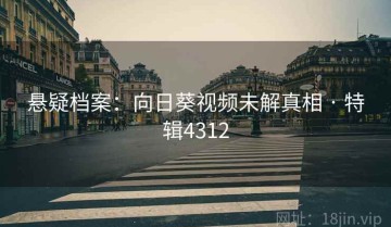 悬疑档案：向日葵视频未解真相 · 特辑4312