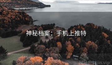 神秘档案：手机上推特
