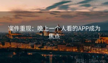 案件重现：晚上一个人看的APP成为焦点