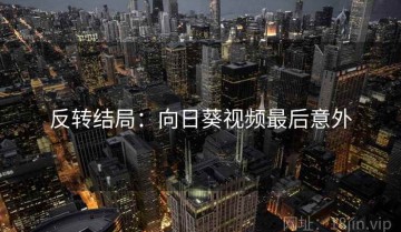 反转结局：向日葵视频最后意外