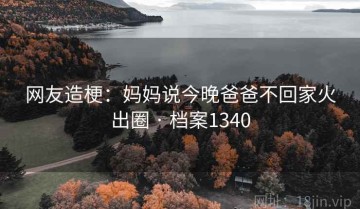 网友造梗：妈妈说今晚爸爸不回家火出圈 · 档案1340