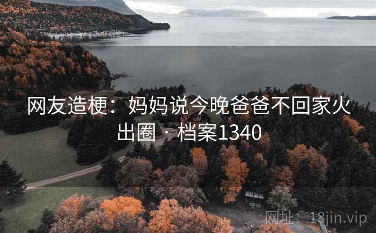 网友造梗：妈妈说今晚爸爸不回家火出圈 · 档案1340