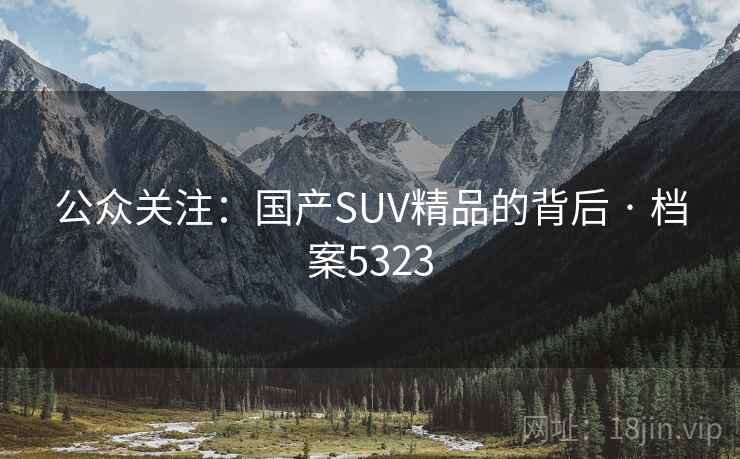公众关注：国产SUV精品的背后 · 档案5323