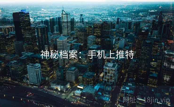 神秘档案：手机上推特
