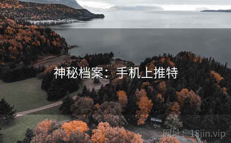 神秘档案：手机上推特