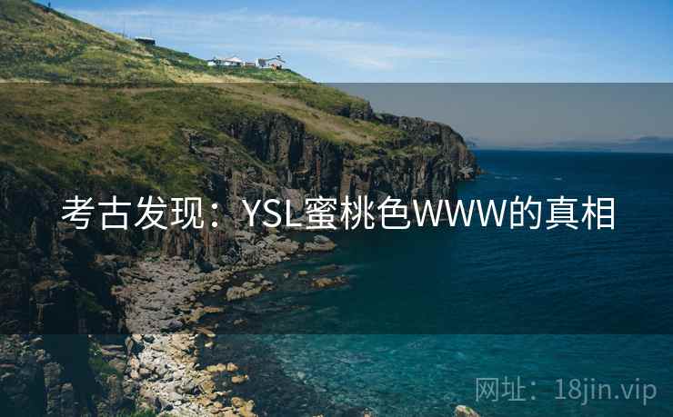 考古发现：YSL蜜桃色WWW的真相
