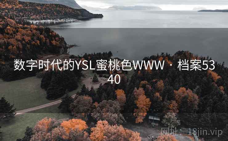 数字时代的YSL蜜桃色WWW · 档案5340 数字时代的YSL蜜桃色WWW · 档案5340
