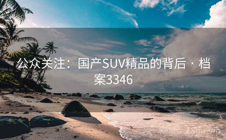 公众关注：国产SUV精品的背后 · 档案3346