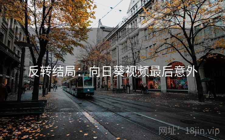 反转结局：向日葵视频最后意外